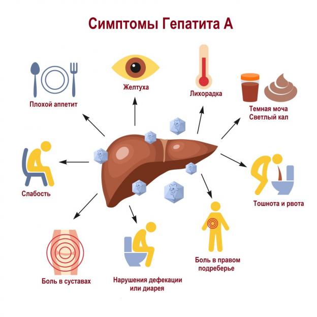 Ситуация по заболеваемости вирусным гепатитом А в Могилевской области оценивается как стабильная и контролируемая — санэпидслужба